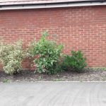 Chameleon Domestic Brick Tinting Services Disguising Mortar Banding Newport Before