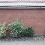 Chameleon Domestic Brick Tinting Services Disguising Mortar Banding Newport After